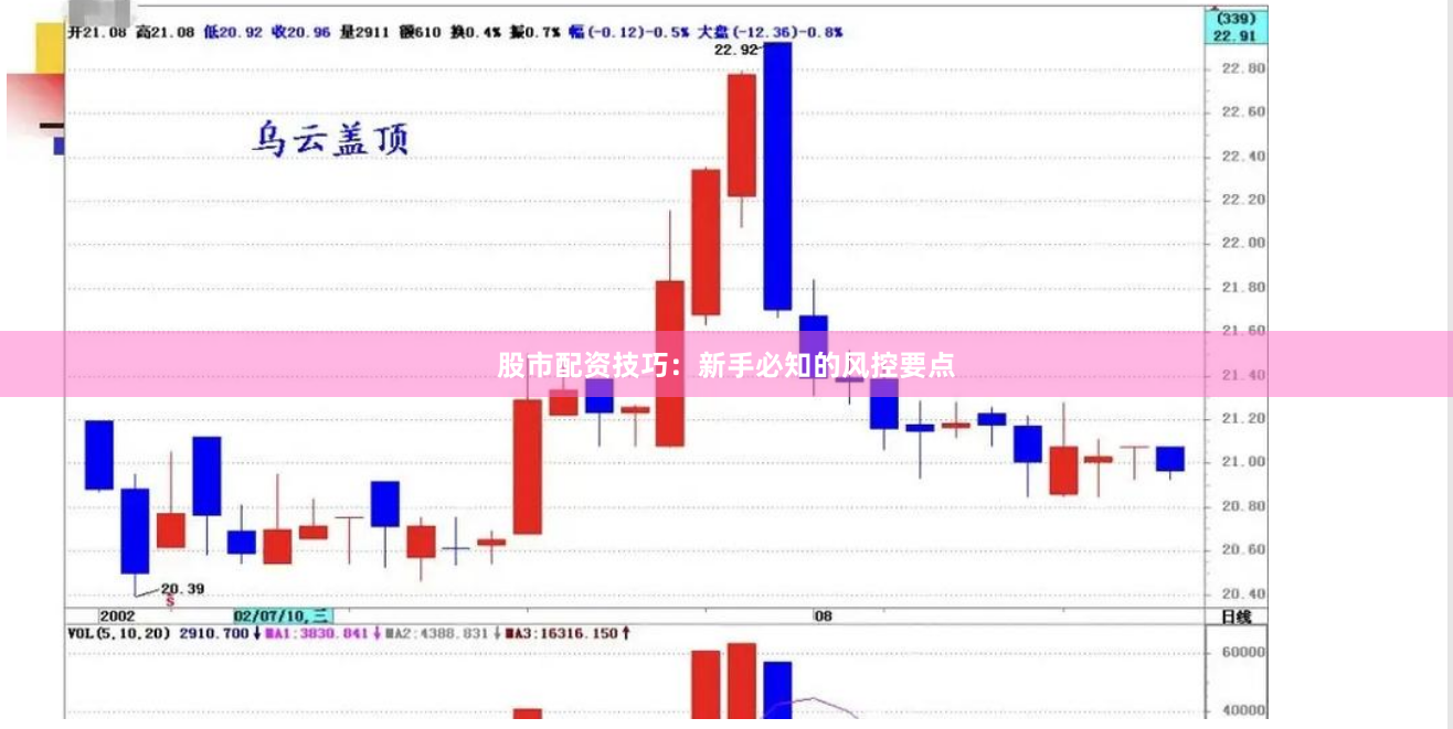 股市配资技巧：新手必知的风控要点